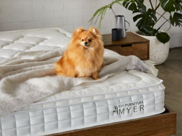 MYER KING MATTRESS